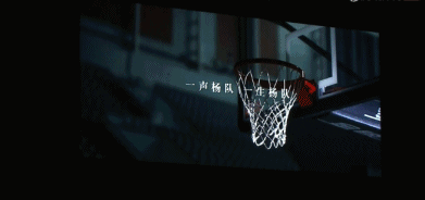 杨鸣球衣退役!再见了12号