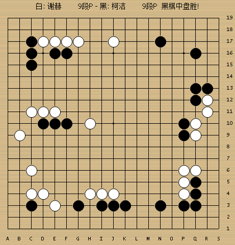 动图棋谱-围甲联赛第9轮柯洁简明运转 速胜谢赫_高清图集_新浪网