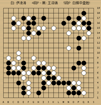 动图棋谱-吴清源杯决赛