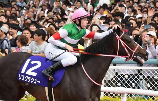 2019年度日本马王诞生