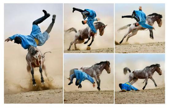 《难以顺服的烈马》  作者：崔岩（金奖）