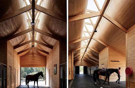 马儿住进这样的马厩日行千里变得soeasy