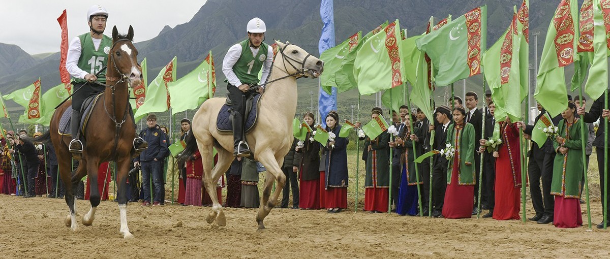 速度赛。马跑了一个多小时，到了终点还需测心率，据介绍这也是一个比赛的指标