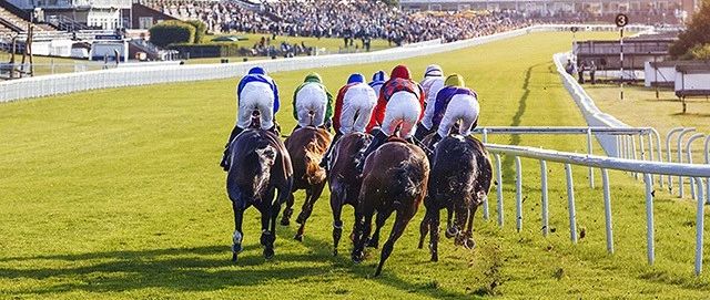 古德伍德赛马场