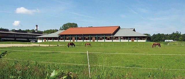 马场到底应该怎么建一个被充分利用的马场才能吸引更多的会员