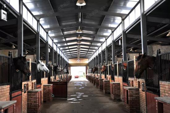 大热天管理马房看这一篇就够了