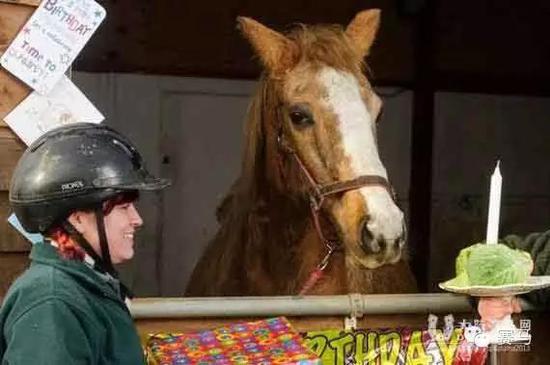 图片来源于网络