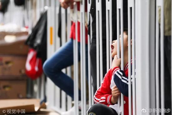 重庆时时彩群发软件计划群→→→加微信或QQ