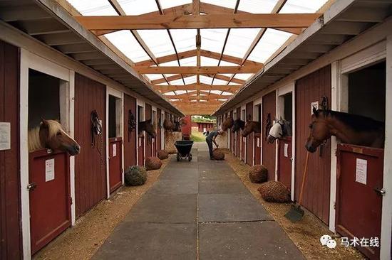 马房建造大有学问如何建造即实用又美观的马房