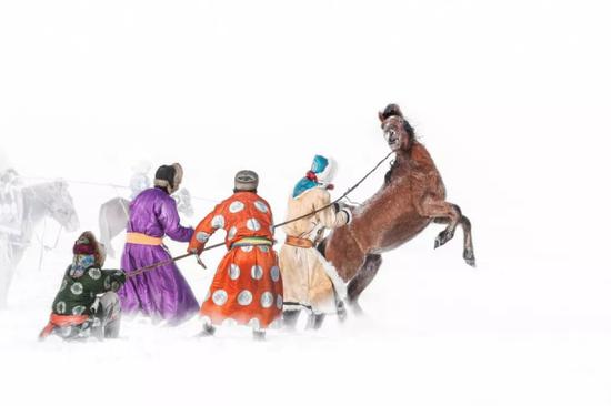 《风雪蒙古人》（组照）  作者：万文英（金奖）