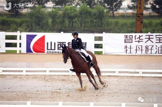 8月4日的比赛现场，图：大陆马