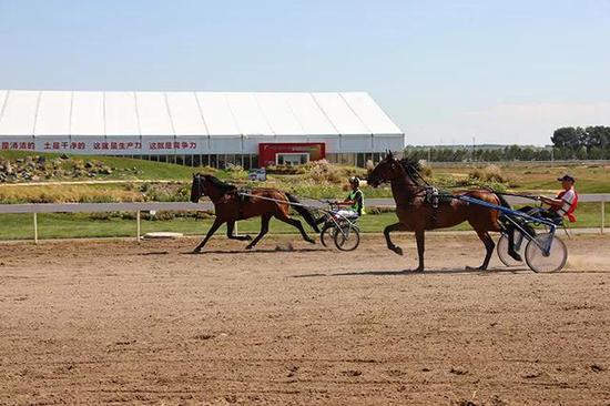 法国速步马邀请赛