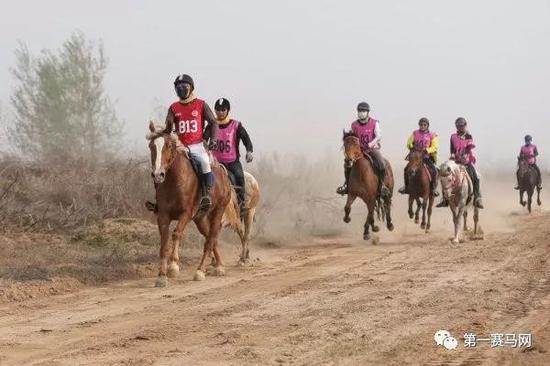 2019中国砀山国际马术耐力赛