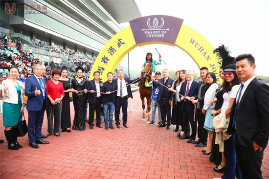 玉龙马业赛驹“多米诺”2019武汉国际赛马节180