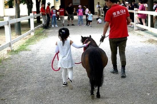 2019“青奥之光”国际青少年马术邀请赛暨北京马