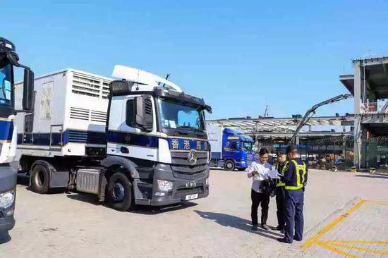 深圳海关优化马匹跨境通关,查验仅需20分钟