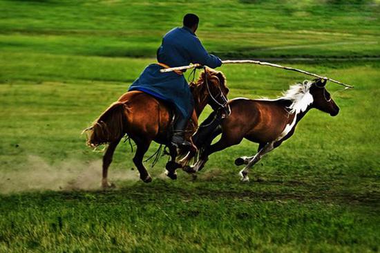 丰富多样的骑马方式