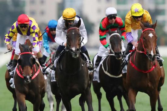 ‘金枪六十’比赛瞬间