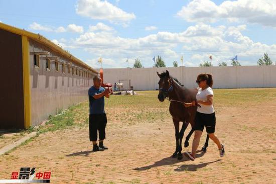 图为王海（左）和乌日娜在马房外遛马。新华网 曹桢摄
