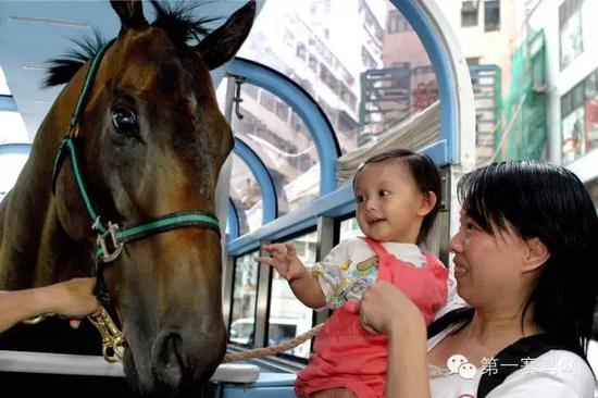 【优骏】它是首匹扬威海外大赛的香港马