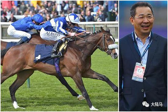 英超冠军足球俱乐部老板意外坠机身亡在赛马和马球领域都是大马主