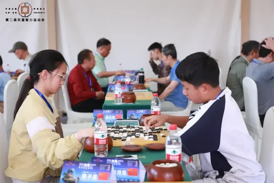 核桃小棋士斥地公开组