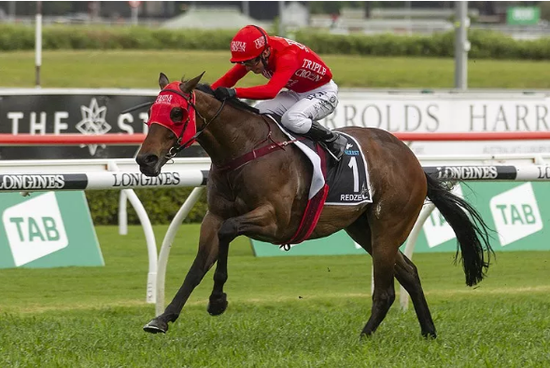 曾代表中国马主出战 赢得最贵草地赛冠军的【红
