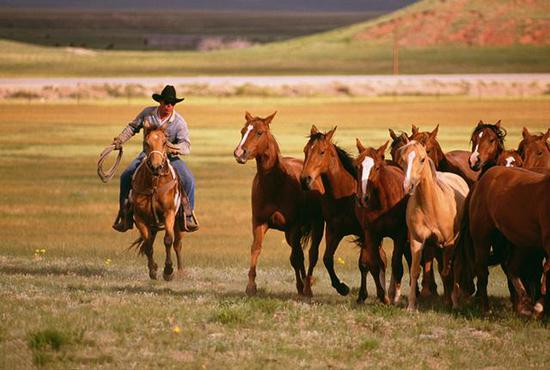 丰富多样的骑马方式