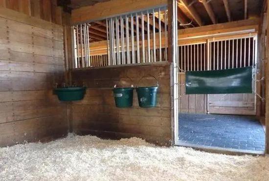 你的马厩合格吗？这四点对比一下吧