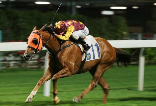 【跑马地赛事】波健士首进香港凯旋门