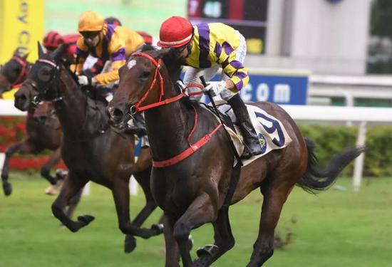 香港骑师潘顿单季九个月获总奖金2亿元