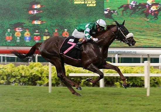 1800米一路领到终点线！“玉龙版本”新加坡勇夺