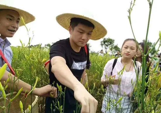 樊振东回到湖南参加黄花菜文化节