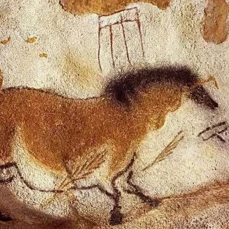 普氏野马（Equus przewalskii）