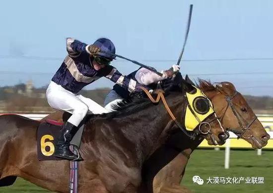 图片来源于网络