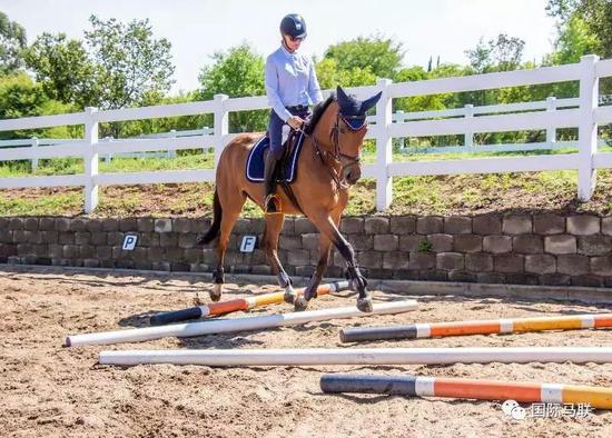 五根地杆让你的骑术突飞猛进_马术_新浪竞技风暴_新浪网