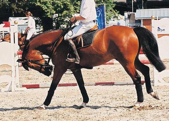 图片来源于网络