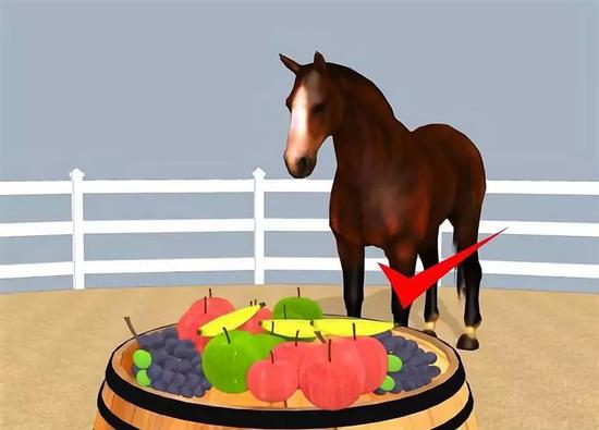 零食，你喂对了吗？