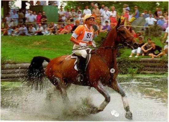 图片来源于网络