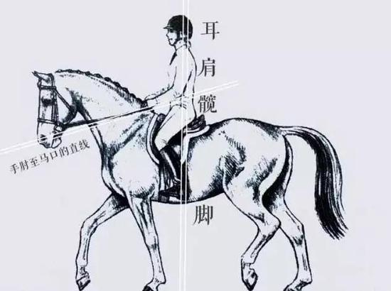 学习骑马却进步很慢?可能你的“姿势”出了问