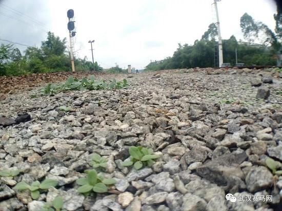 石子路