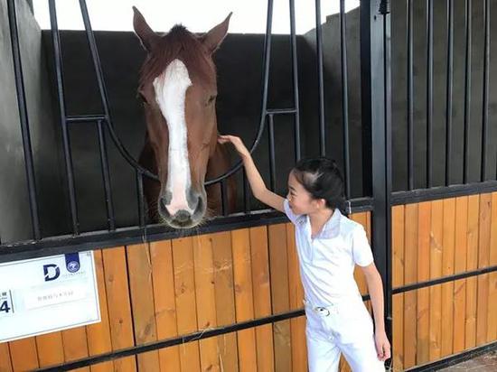 马术比赛中的观赛礼仪