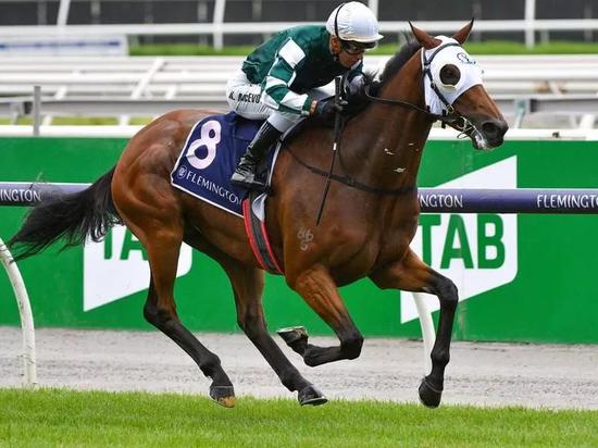 骑师麦维凯（Kerrin McEvoy）策骑塔博拉山”（Mount Tabora）比赛瞬间