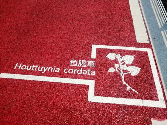 目测要火！全程30公里！杭州又多一处跑步圣地