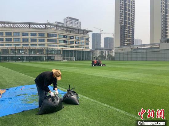 图为大连人足球青训基地里,工作人员对草坪进行休整。 邓涵竹 摄