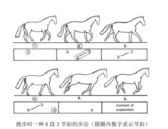 人着盛装马走舞步