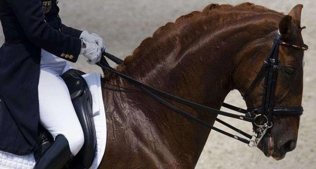 图片来源于网络