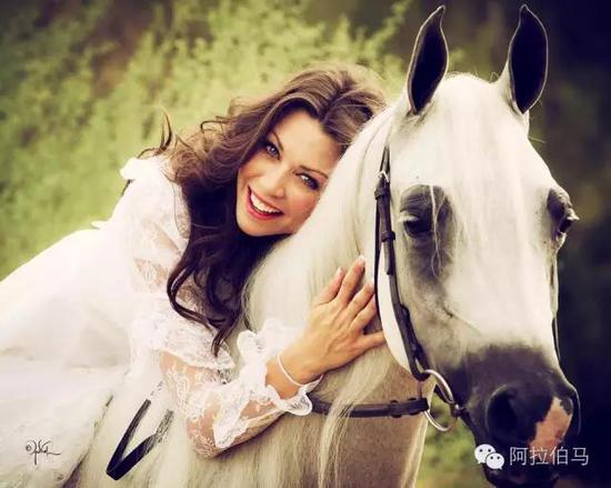 战火中永生——波兰系阿拉伯马的故事