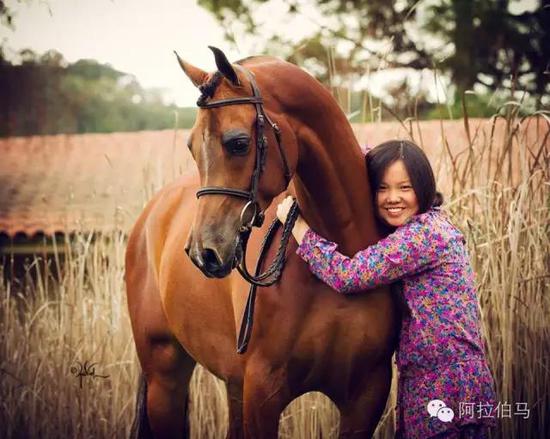 战火中永生——波兰系阿拉伯马的故事