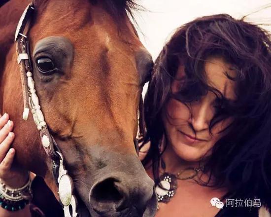 战火中永生——波兰系阿拉伯马的故事